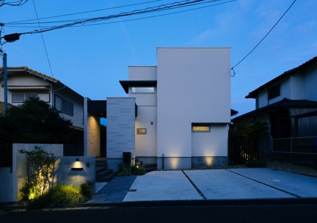 SimpleStyle Plus